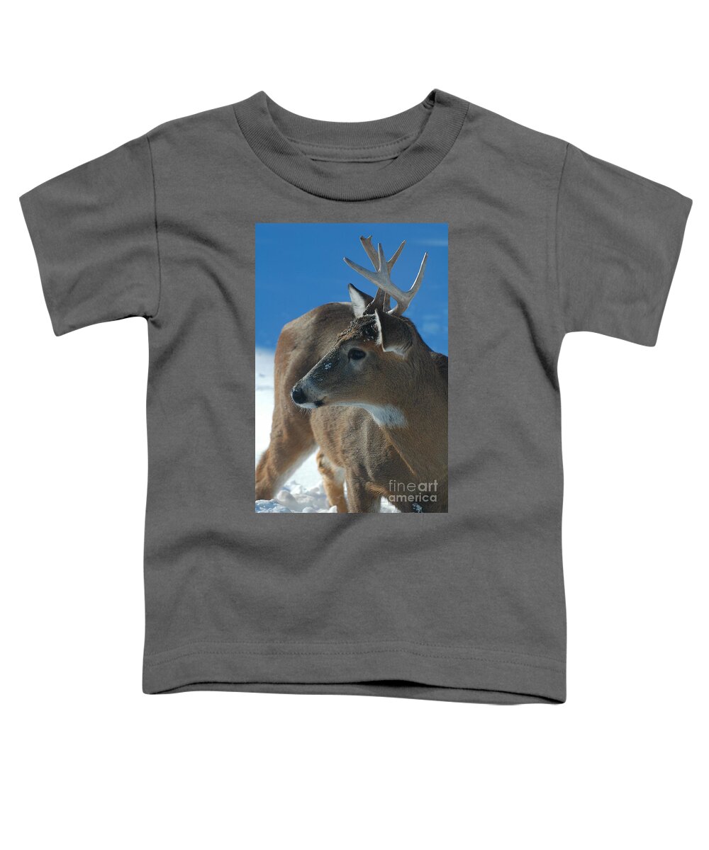8-point Buck Toddler T-Shirt featuring the photograph Buck profile by Joan Wallner