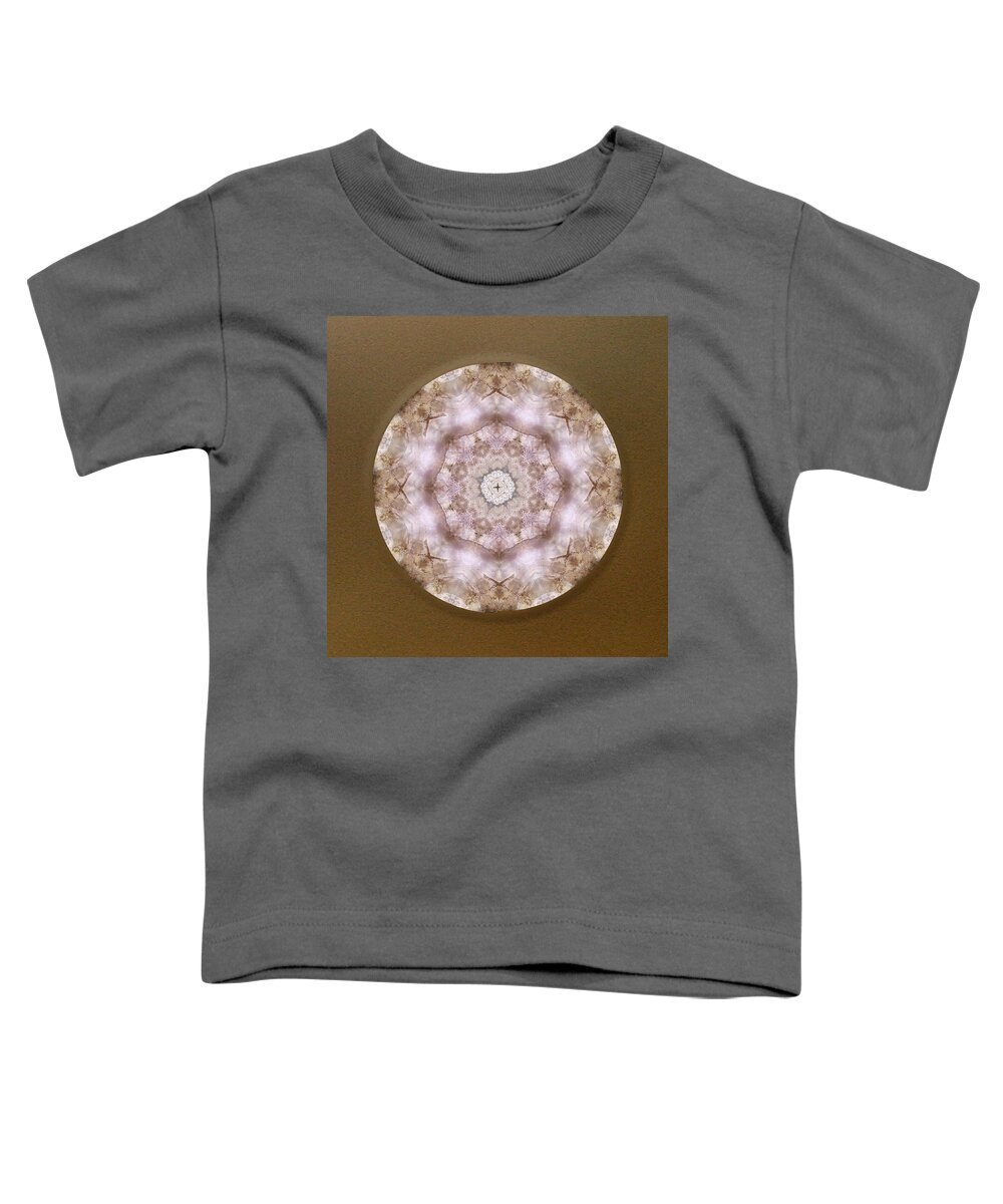 Auralite 23 Crystal Toddler T-Shirt featuring the mixed media Buddha Blessing by Alicia Kent