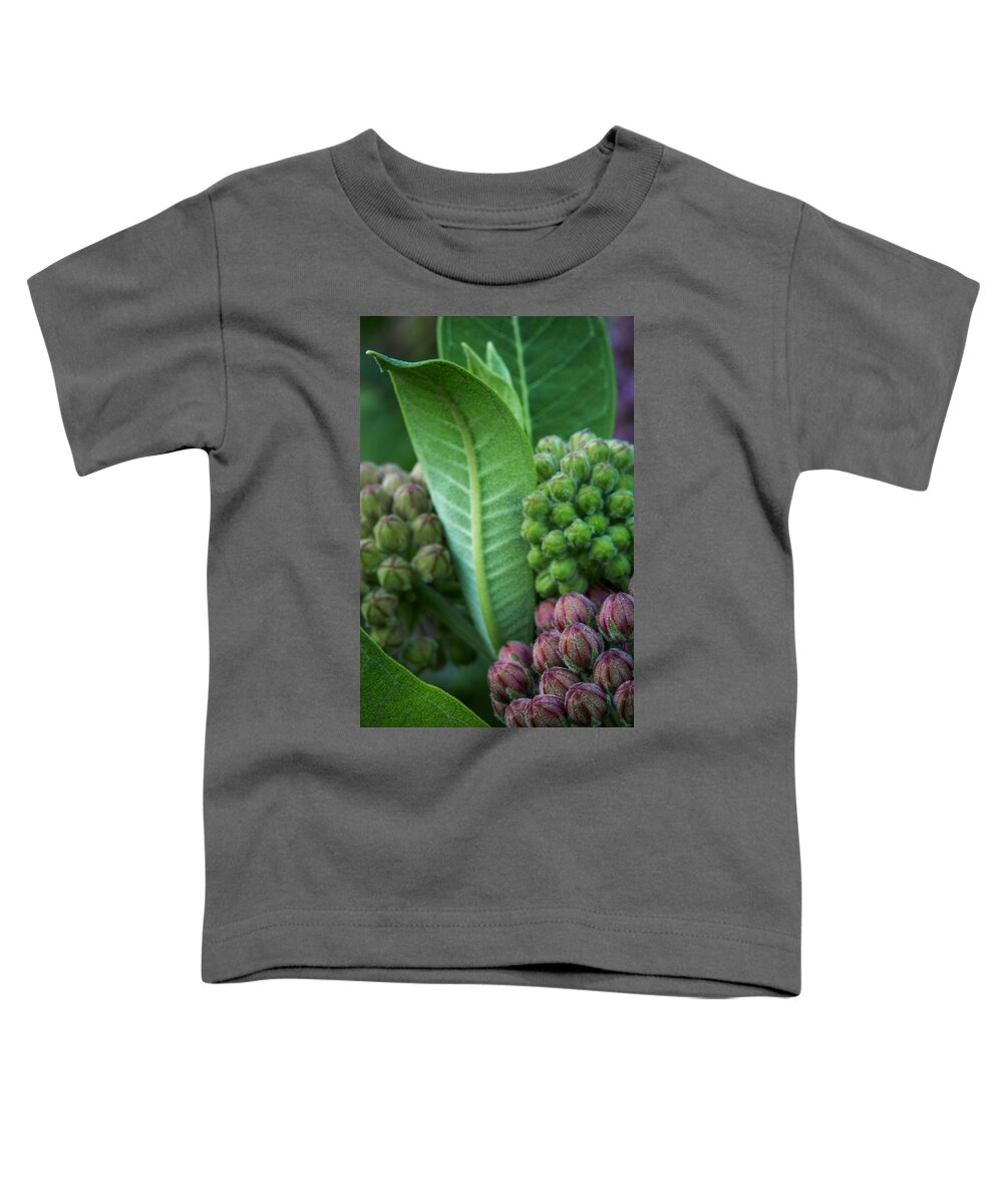 Budding Milkweed Toddler T-Shirt featuring the photograph Budding Milkweed by Dale Kincaid