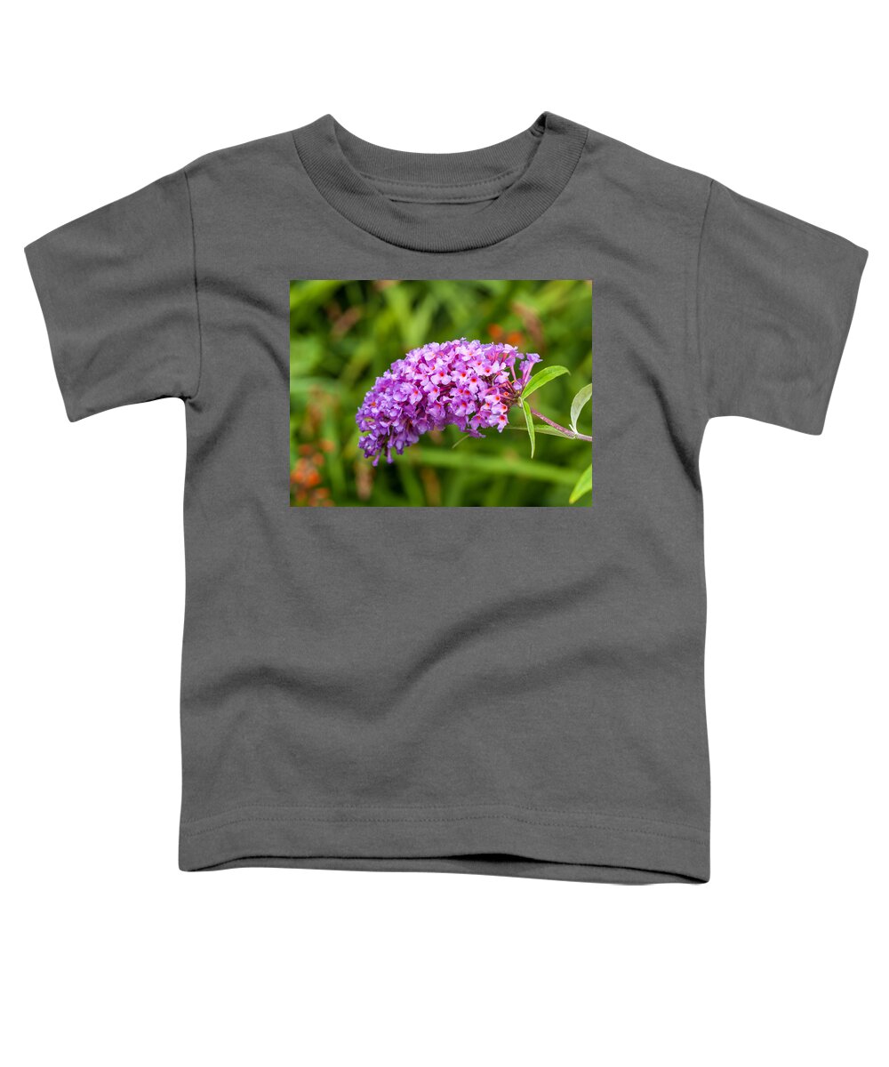 Cumc Toddler T-Shirt featuring the photograph Buddleia by Charles Hite