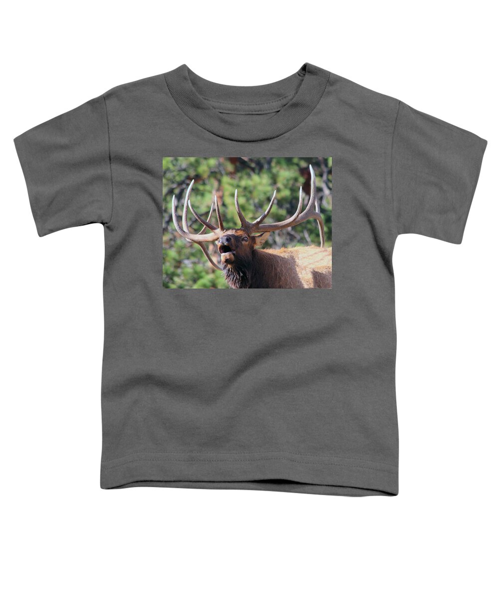 Elk Toddler T-Shirt featuring the photograph Bugling Bull #2 by Shane Bechler