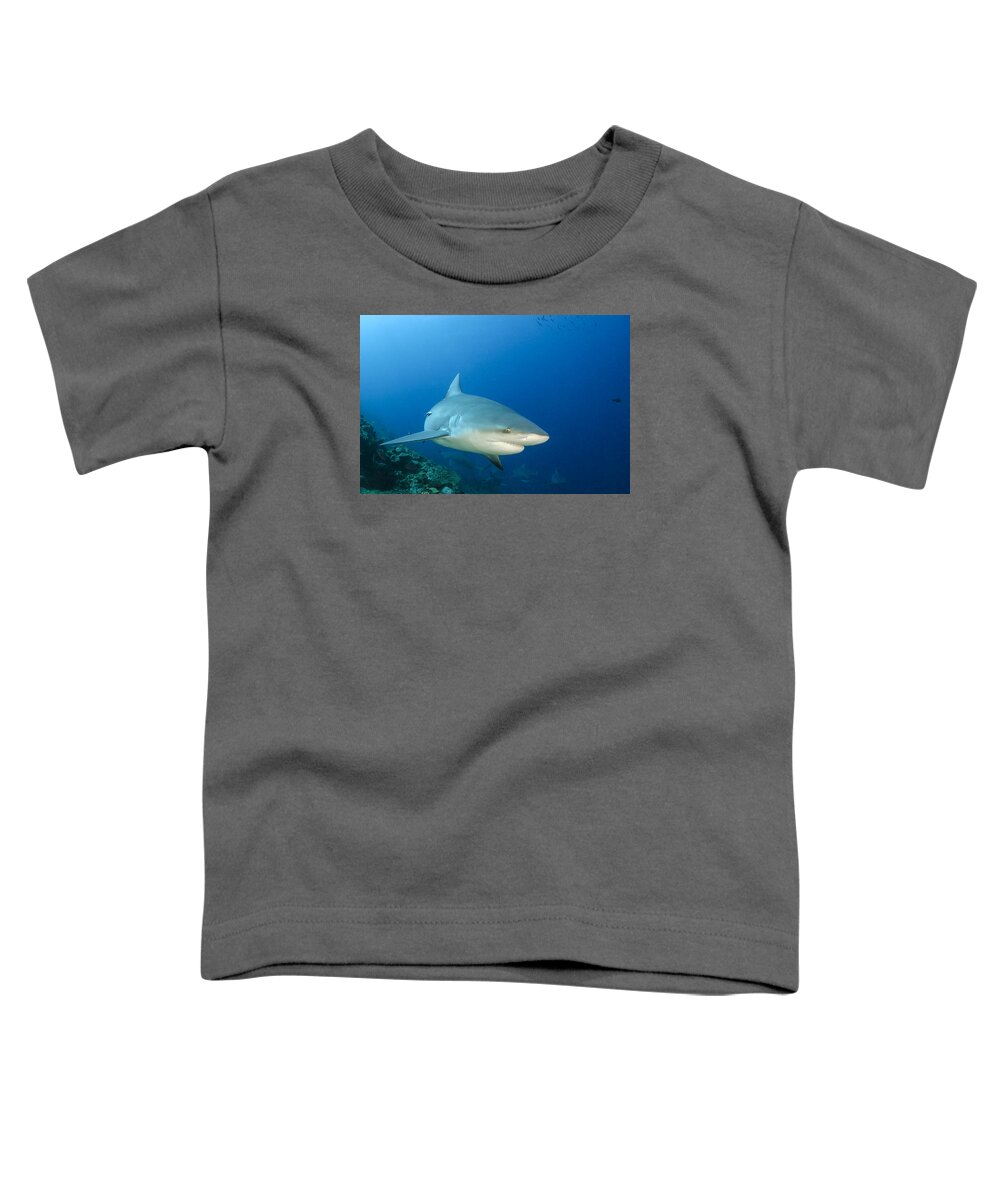 Pete Oxford Toddler T-Shirt featuring the photograph Bull Shark Beqa Lagoon Viti Levu Fiji by Pete Oxford