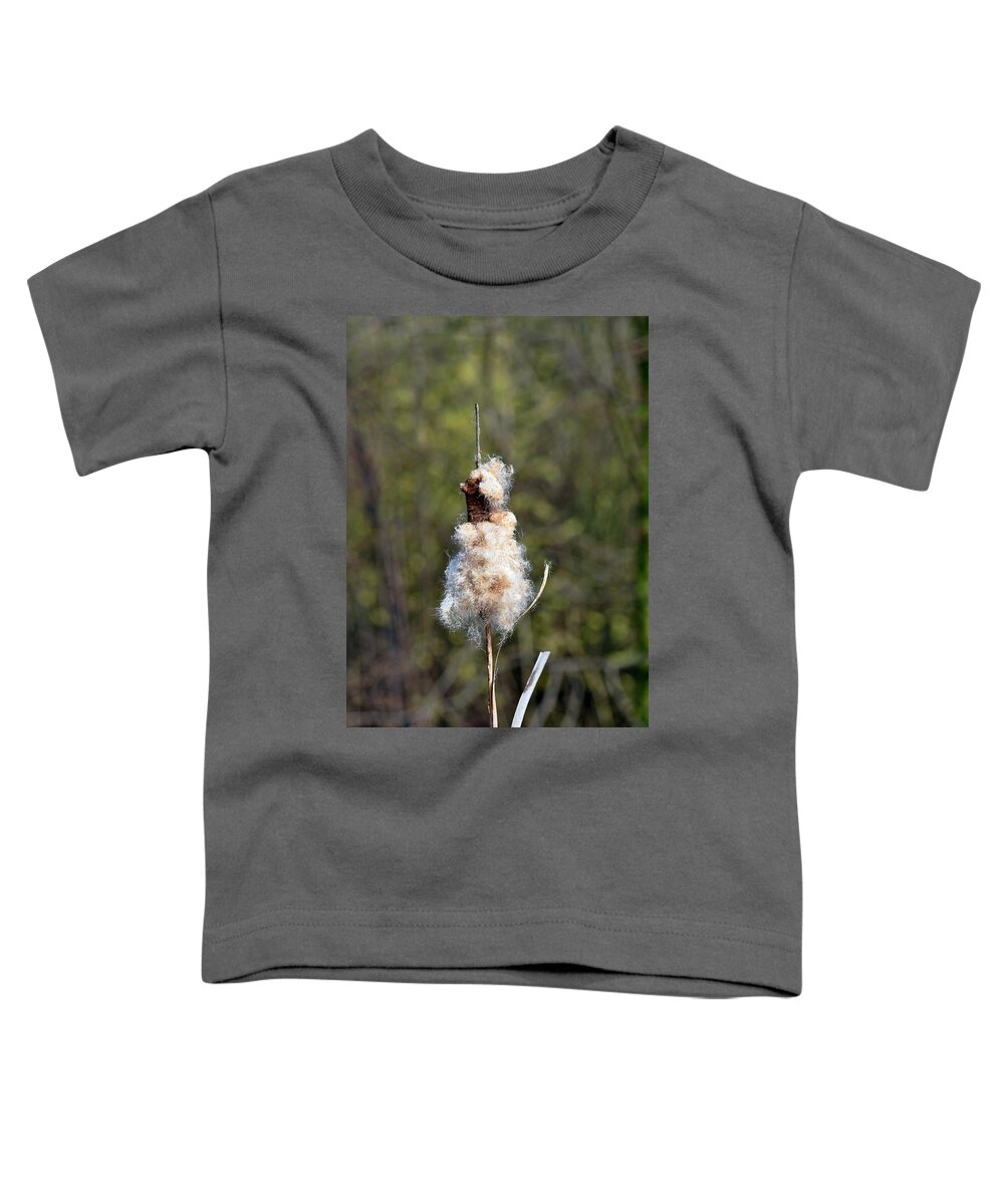 Europe Toddler T-Shirt featuring the photograph Bulrush Seed Head, Disintegrating by Rod Johnson