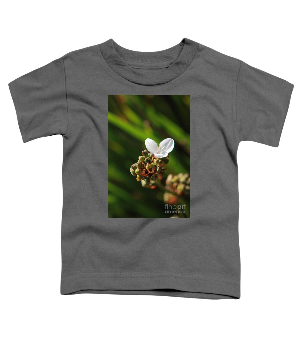 Flower Toddler T-Shirt featuring the photograph Butterfly Flower by Aidan Moran