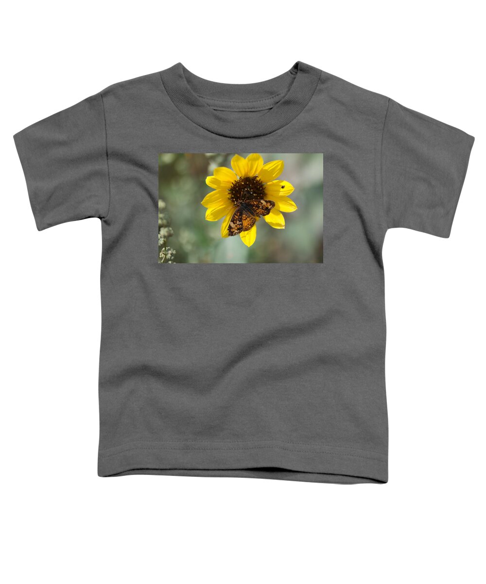 Insects Toddler T-Shirt featuring the photograph Butterfly on a flower by Jeff Swan