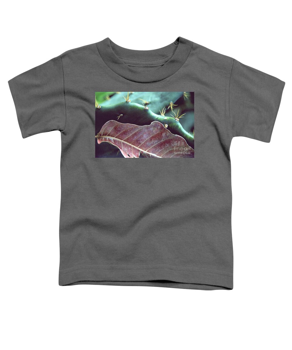 Cactus Toddler T-Shirt featuring the photograph Cactus and Dry Leaf Color by Heather Kirk