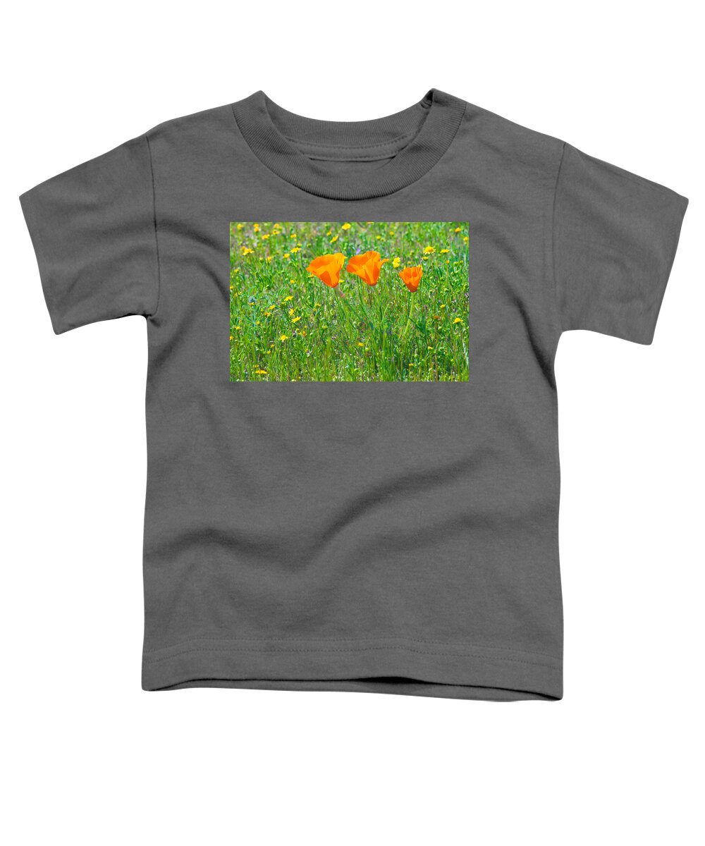 California Toddler T-Shirt featuring the photograph California Poppies by Ram Vasudev