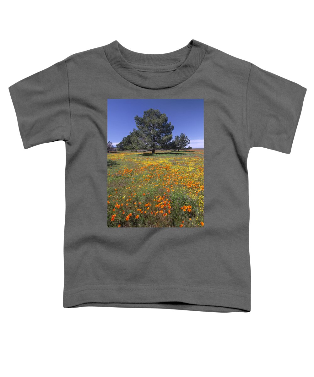 Feb0514 Toddler T-Shirt featuring the photograph California Poppy And Eriophyllum by Tim Fitzharris