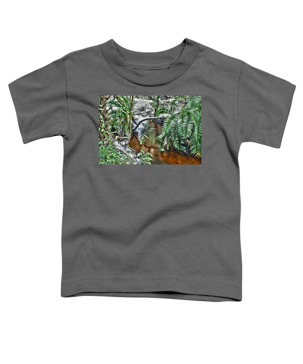Stream Toddler T-Shirt featuring the photograph Calm Water by Chauncy Holmes