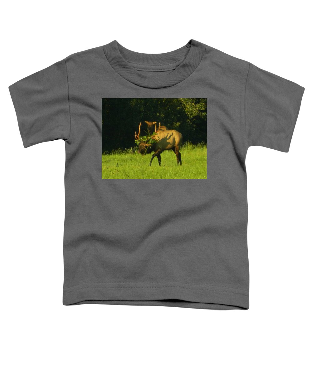 Elk Toddler T-Shirt featuring the photograph Camoflaged Elk With Shadows by Gallery Of Hope