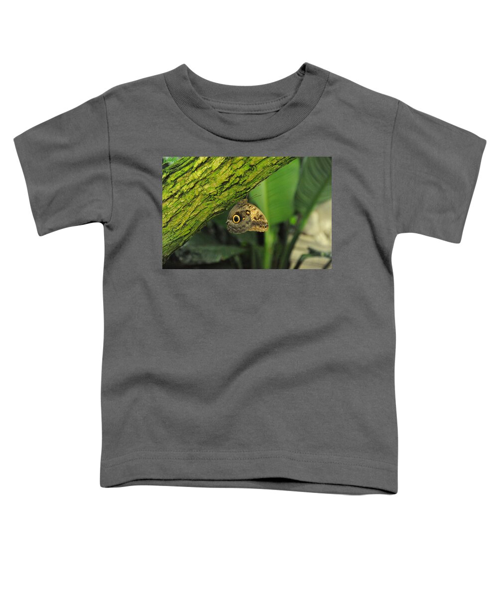 Wildlife Toddler T-Shirt featuring the photograph Camouflage by Richard Gehlbach