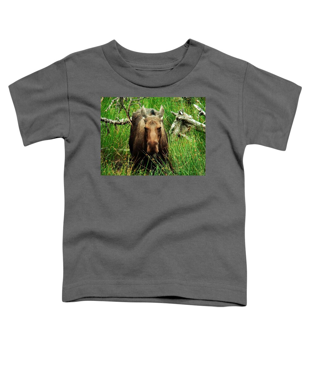 Moose Toddler T-Shirt featuring the photograph Canadian Moose by Zinvolle Art