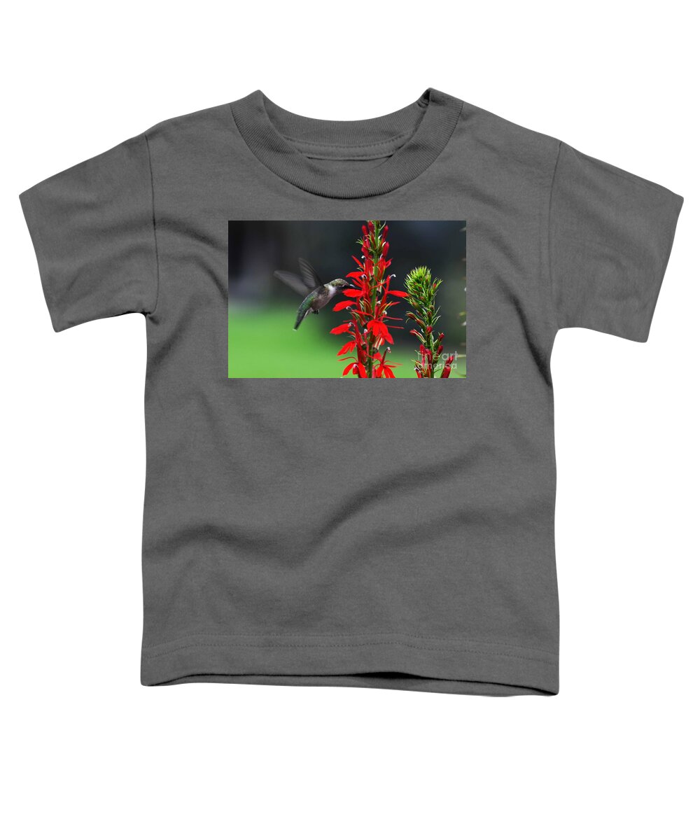 Ruby Throated Hummingbird Toddler T-Shirt featuring the photograph Can't Get Enough by Judy Wolinsky