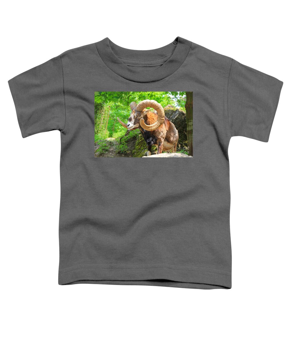  Alpine Toddler T-Shirt featuring the photograph Capricorne 2 by Amanda Mohler