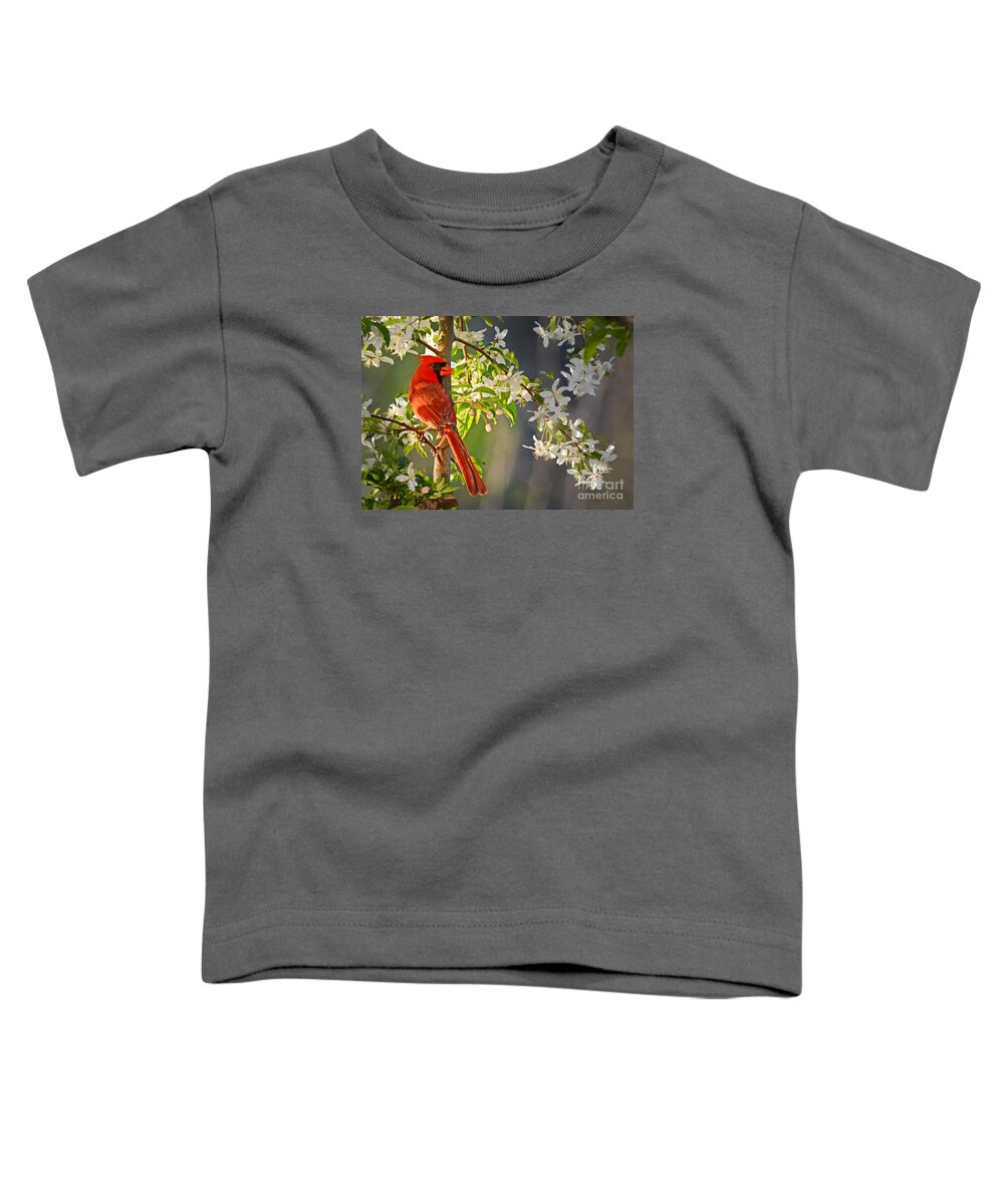 Nature Toddler T-Shirt featuring the photograph Cardinal in the Springtime by Nava Thompson