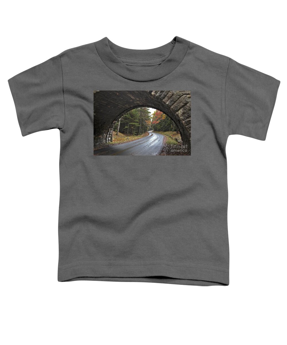 Acadia National Park Toddler T-Shirt featuring the photograph Carriage Bridge by Karin Pinkham