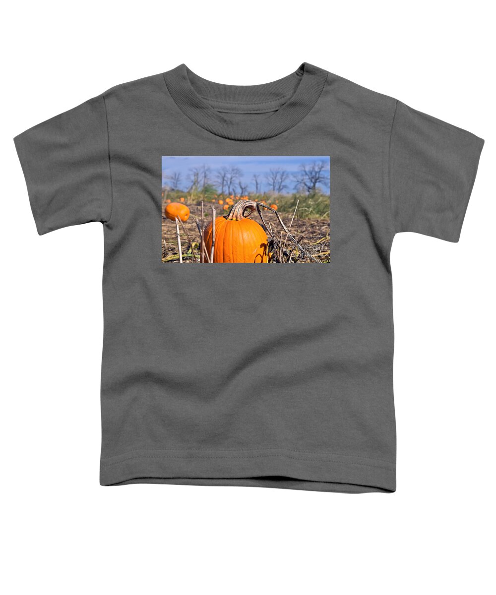 Field Toddler T-Shirt featuring the photograph Center of attention by PatriZio M Busnel