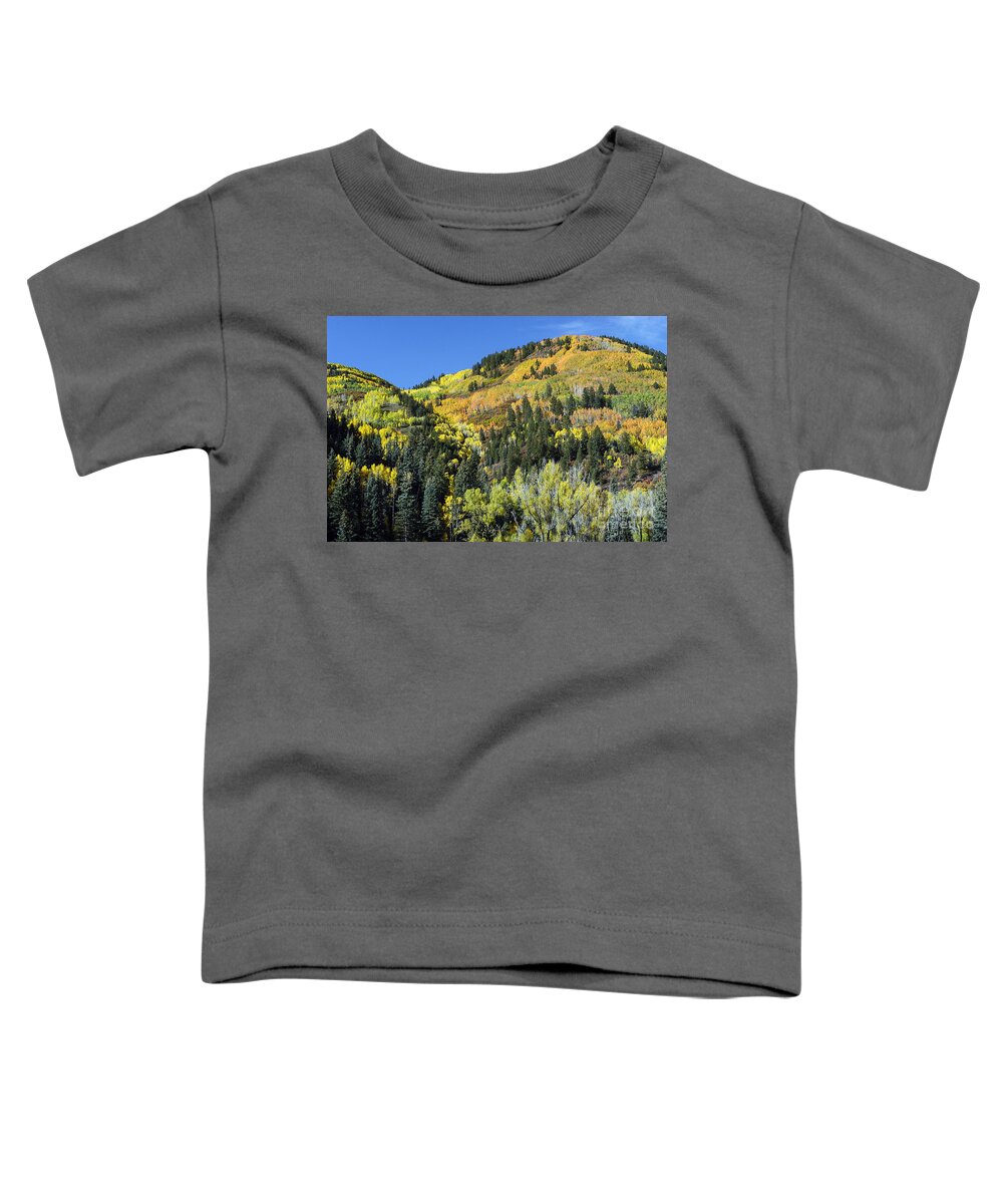San Juan Mountains Toddler T-Shirt featuring the photograph Changing Colors by Bob Phillips