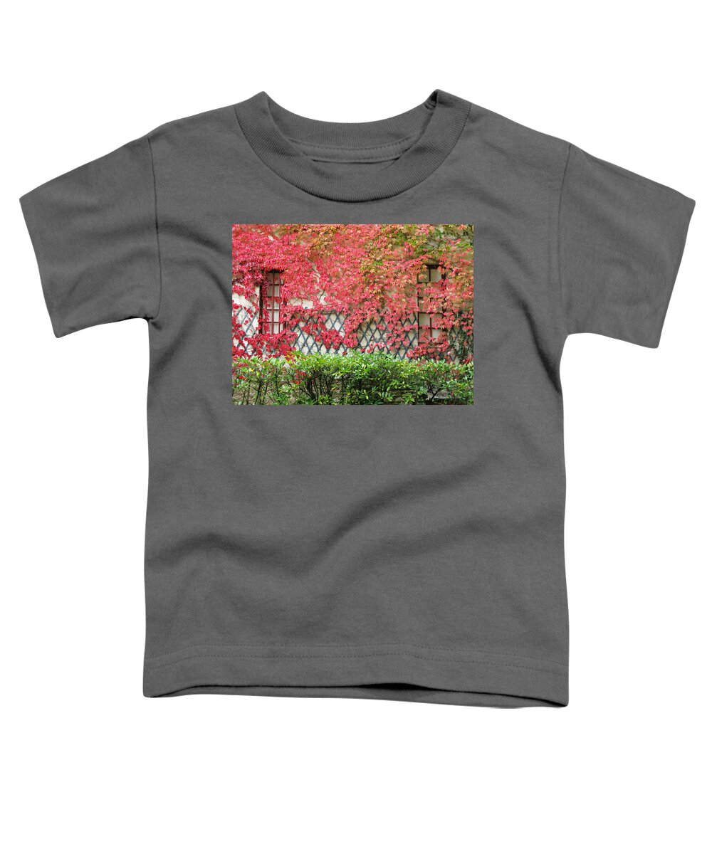 Fall Leaves Toddler T-Shirt featuring the photograph Chateau Chenonceau Vines on Wall Image One by Randi Kuhne