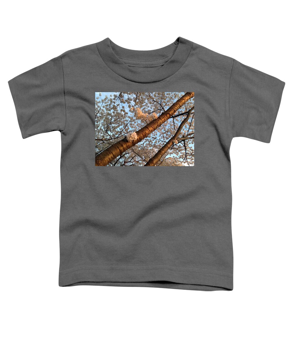 Washington Dc Toddler T-Shirt featuring the photograph Cherry Blossoms by Lois Ivancin Tavaf