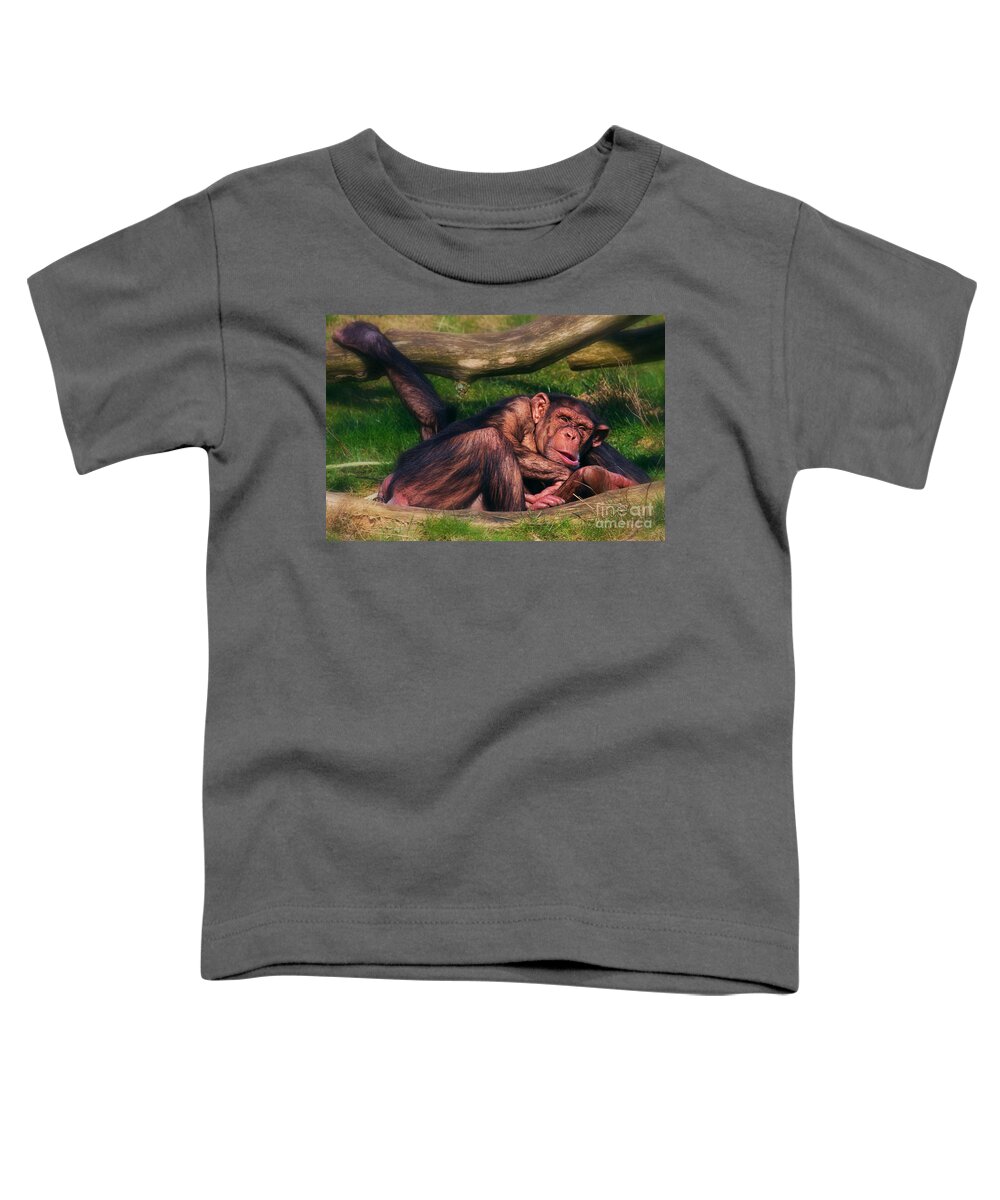 Chimpanzees Toddler T-Shirt featuring the photograph Chimpanzees taking a nap by Nick Biemans