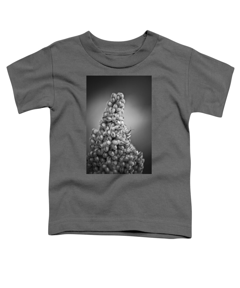 Blumwurks Toddler T-Shirt featuring the photograph climbing Mount Seuss by Matthew Blum