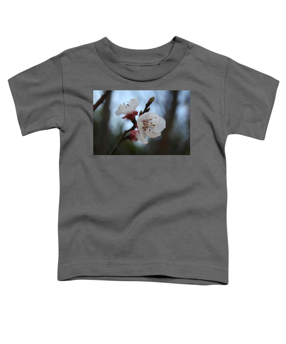 Apricot Blossom Toddler T-Shirt featuring the photograph Close Up Apricot Blossom In Pastel Shades by Taiche Acrylic Art