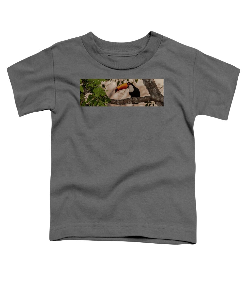 Photography Toddler T-Shirt featuring the photograph Close-up Of Tocu Toucan Ramphastos Toco by Panoramic Images