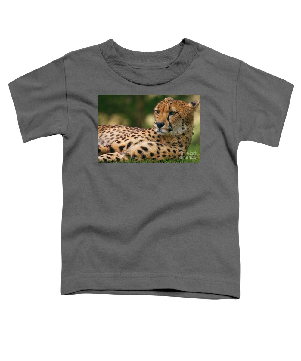 Close-up Toddler T-Shirt featuring the photograph Close-up portrait of a cheetah by Nick Biemans