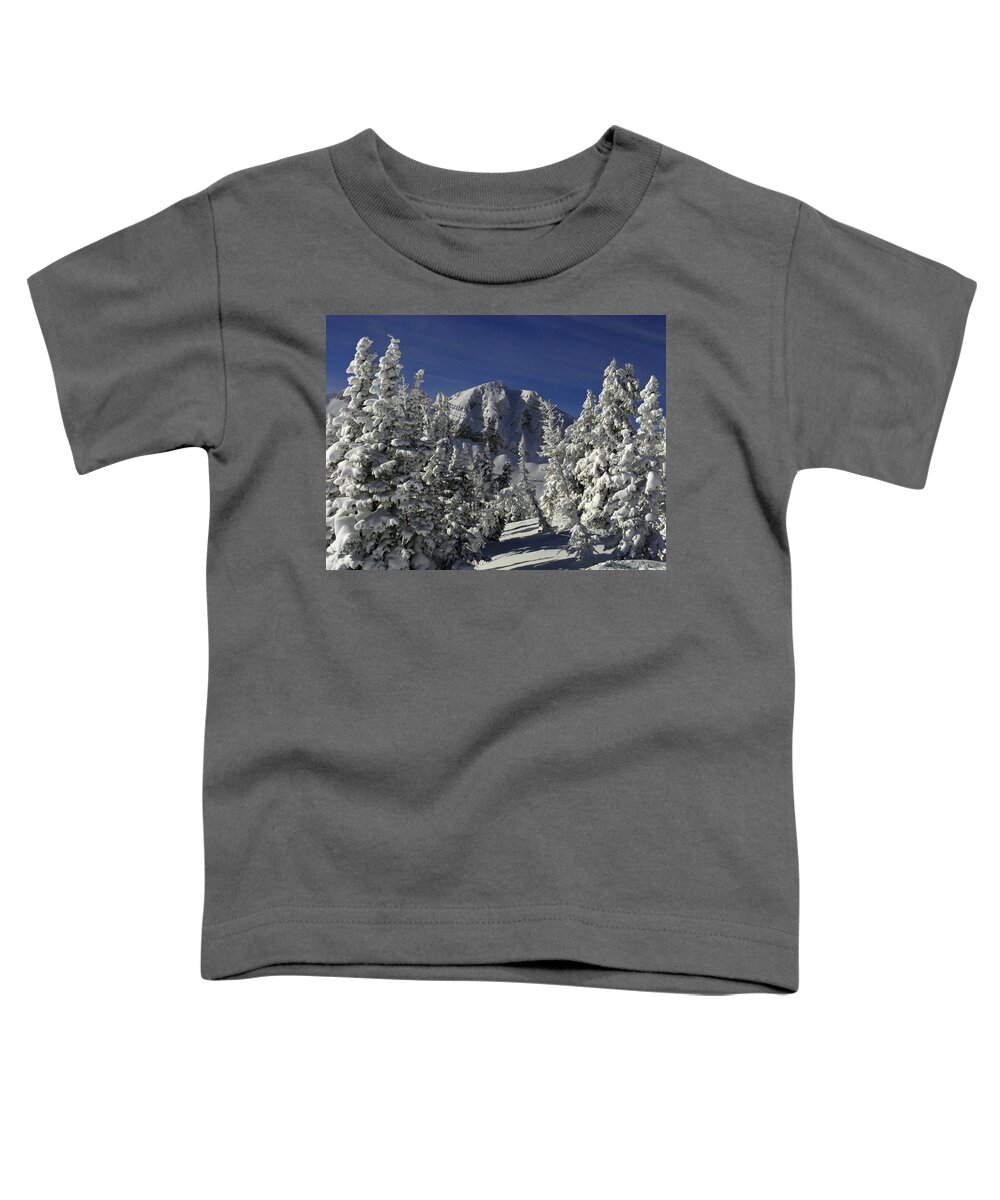 Cody Peak Toddler T-Shirt featuring the photograph Cody Peak After a Snow by Raymond Salani III
