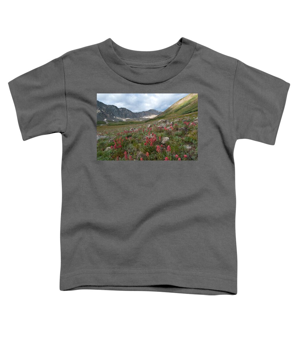 Landscape Toddler T-Shirt featuring the photograph Colorado Early Morning Summer Landscape with Gray's Peak by Cascade Colors