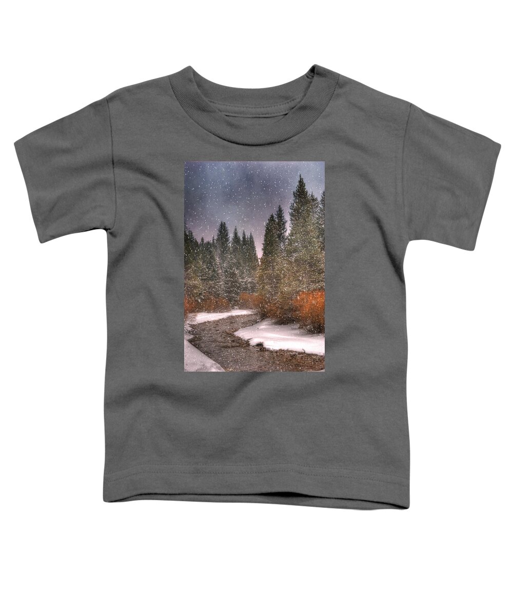 Beautiful Toddler T-Shirt featuring the photograph Colours of Winter by Juli Scalzi