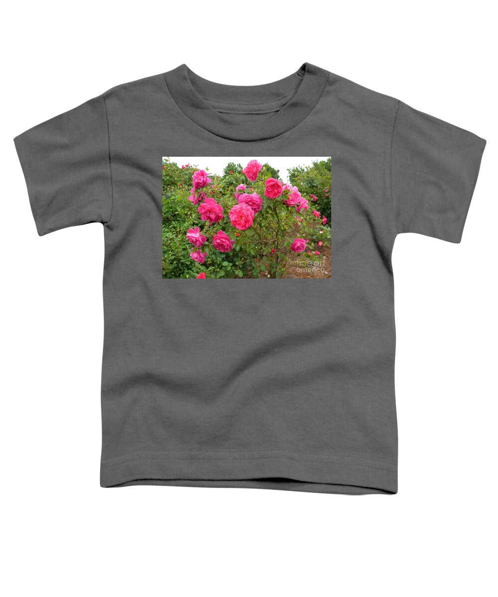 Flowers Toddler T-Shirt featuring the photograph Coming Up Rosy by Matthew Seufer