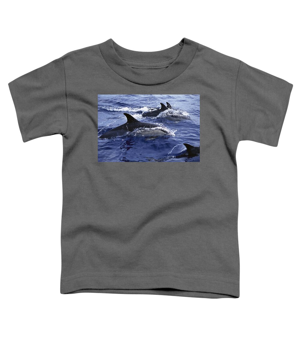 Feb0514 Toddler T-Shirt featuring the photograph Common Dolphin Pod Swimming At Surface by Flip Nicklin