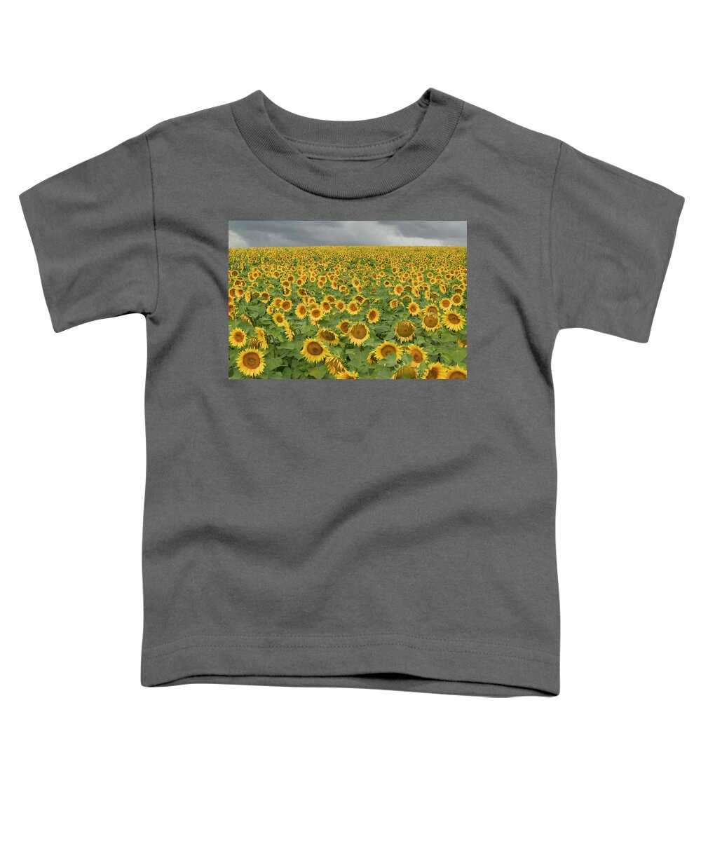 Mp Toddler T-Shirt featuring the photograph Common Sunflower Helianthus Annuus by Cyril Ruoso