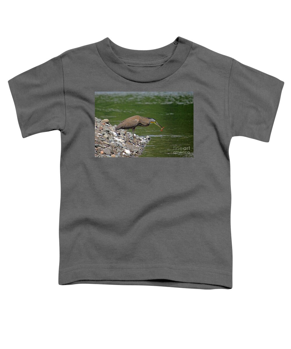 Costa Rica Toddler T-Shirt featuring the photograph Crab Dinner by Bob Hislop