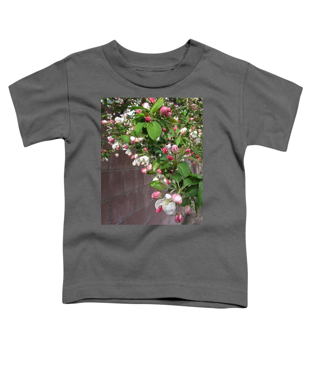 Crabapple Blossoms Toddler T-Shirt featuring the photograph Crabapple Blossoms and Wall by Donald S Hall