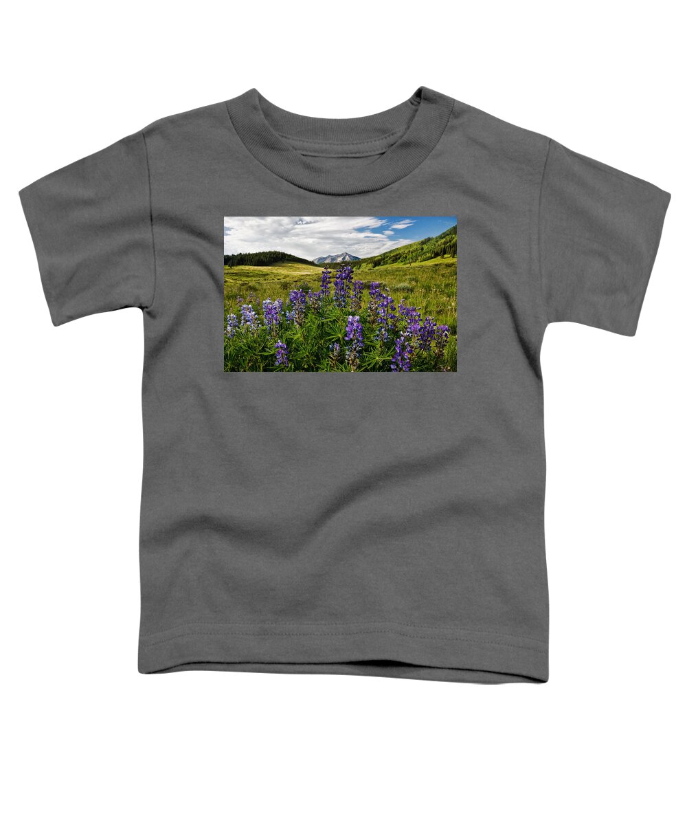 Crested Butte Toddler T-Shirt featuring the photograph Crested Butte Lupines by Ronda Kimbrow
