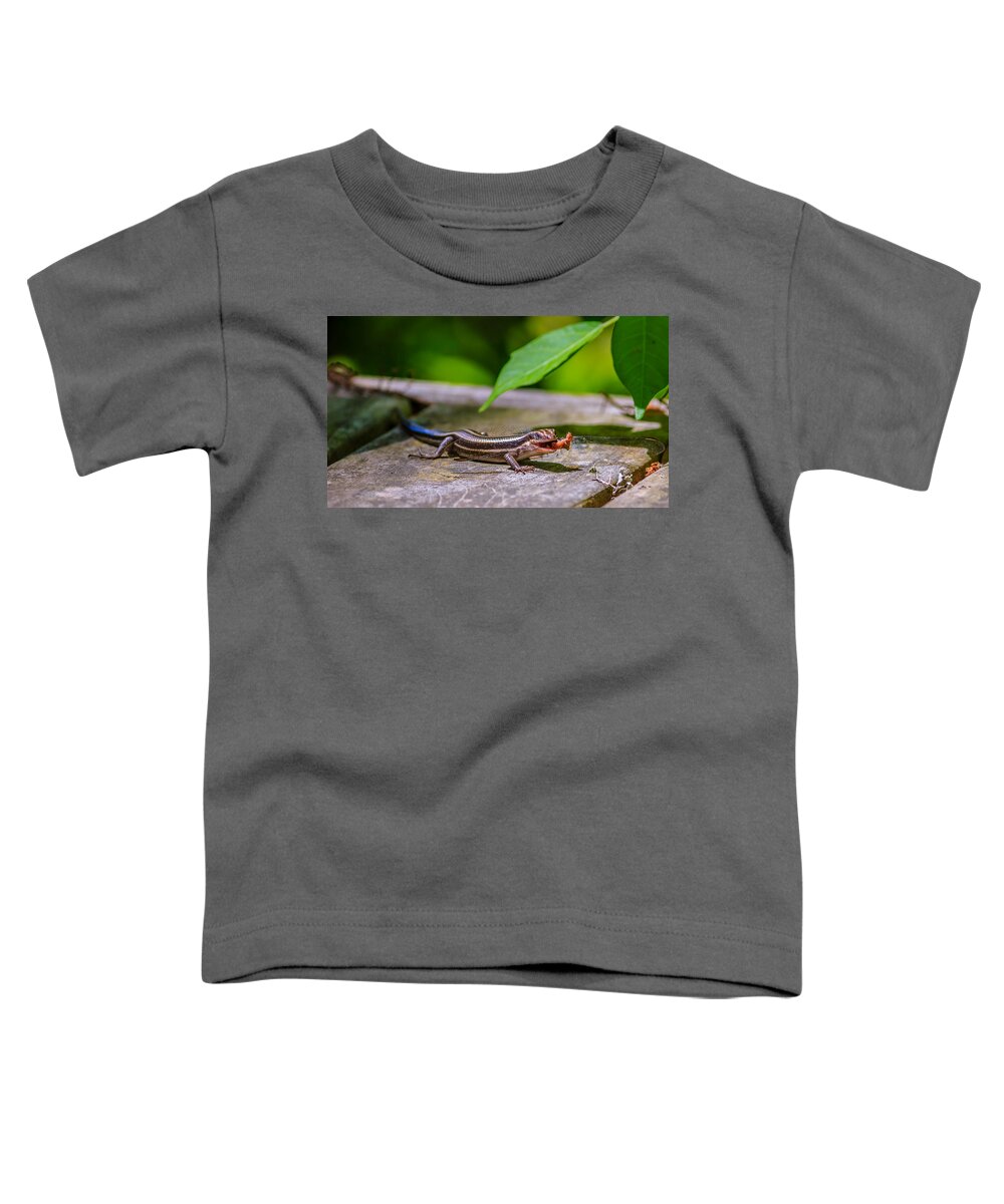 Animal Toddler T-Shirt featuring the photograph Cryptoblepharus egeriae by Traveler's Pics