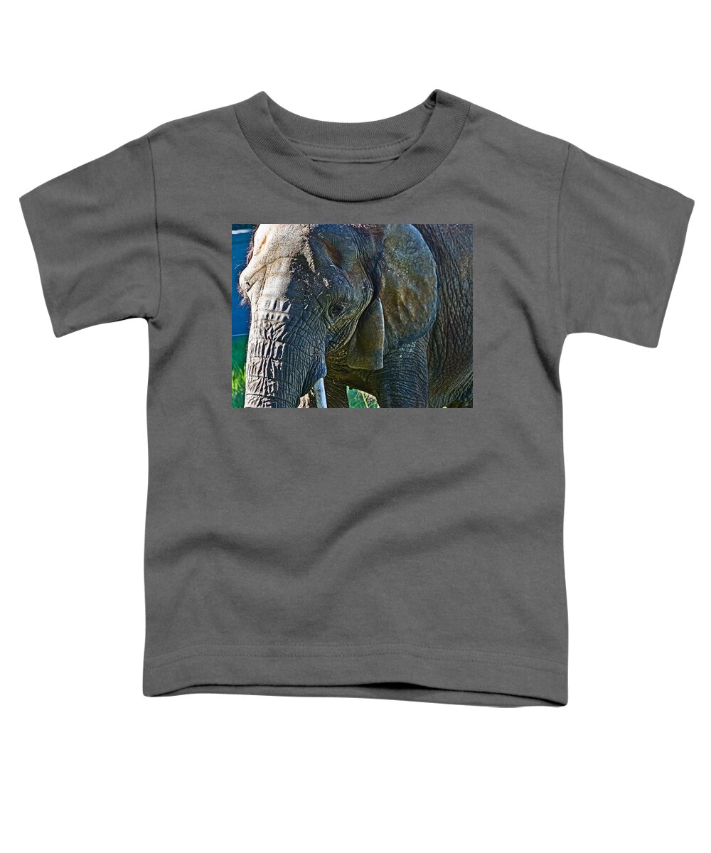 #elephant Toddler T-Shirt featuring the photograph Cuddles in search by Miroslava Jurcik