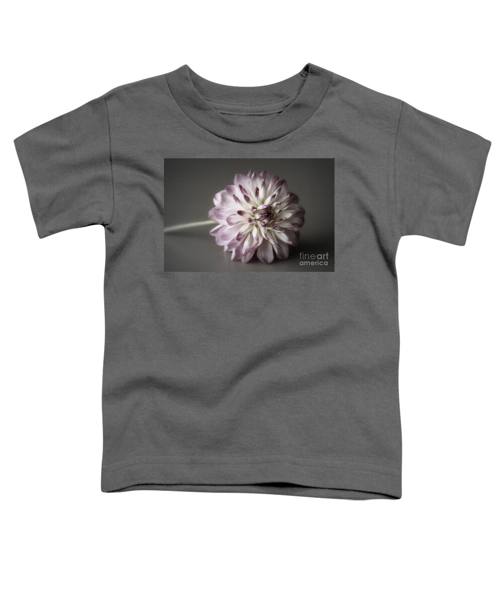 Flower Toddler T-Shirt featuring the photograph Dahlia by Amanda Mohler