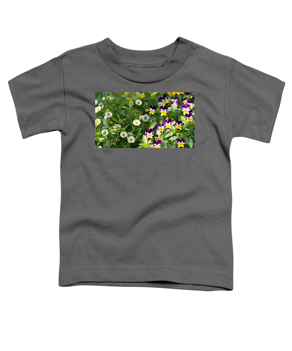 Flower Toddler T-Shirt featuring the photograph Daisy and Pansy Mix by Matt Malloy
