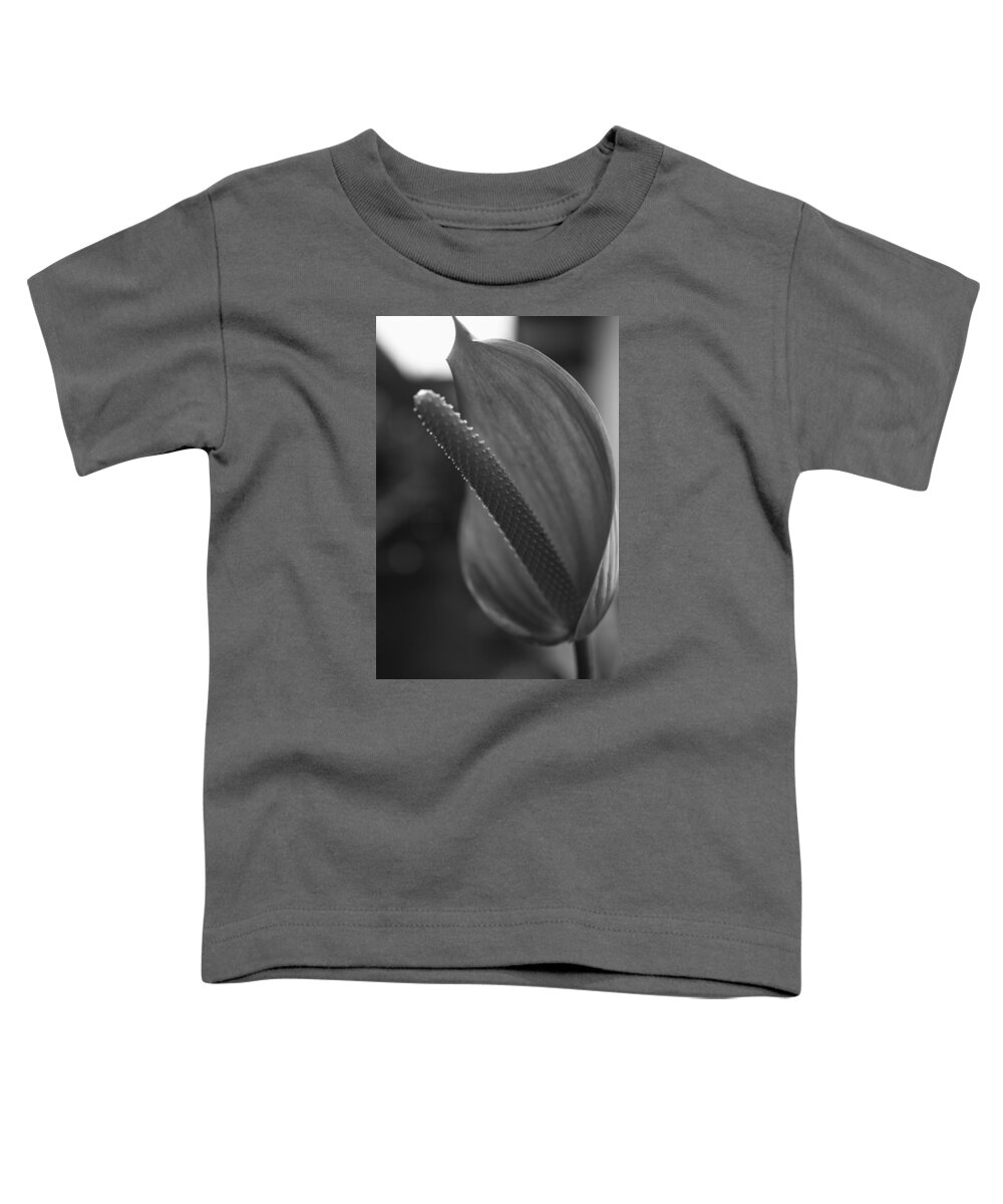 Berg Toddler T-Shirt featuring the photograph Dark and Light by Miguel Winterpacht
