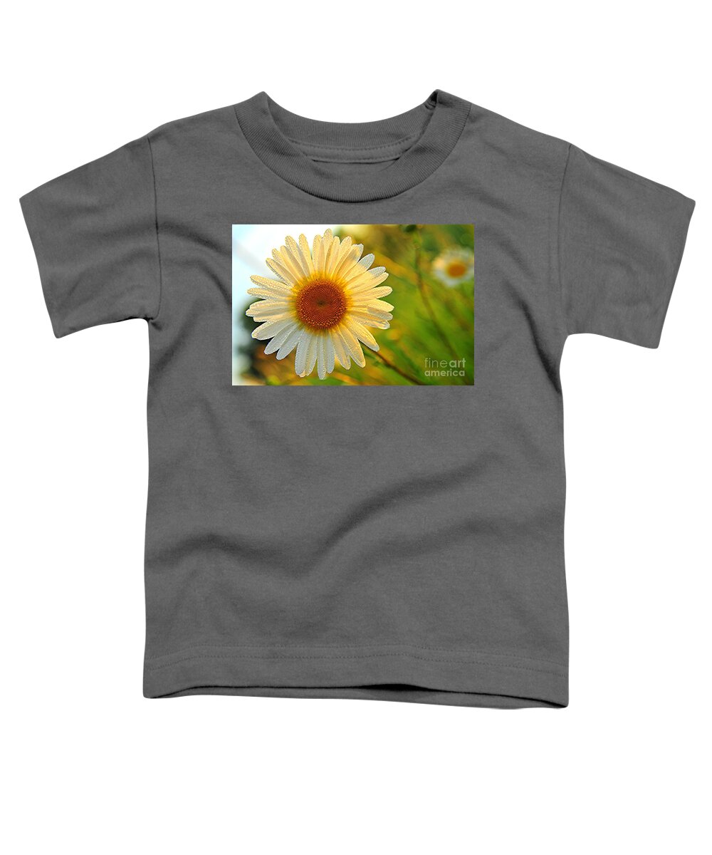 Daisy Toddler T-Shirt featuring the photograph Dew Kissed Daisy by Terri Gostola