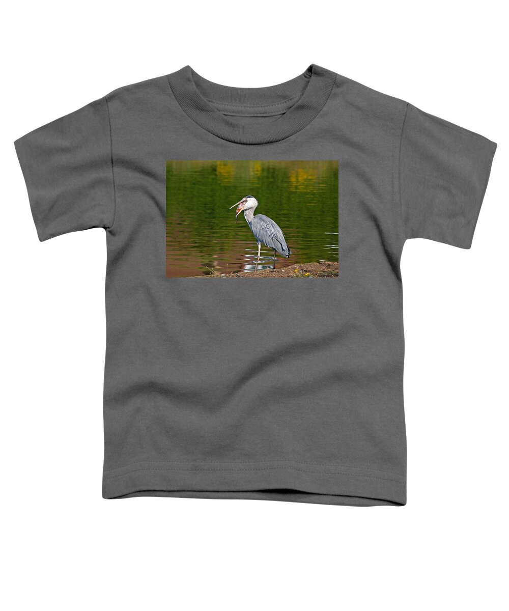 Grey Heron Toddler T-Shirt featuring the photograph Dinner Time by Scott Carruthers
