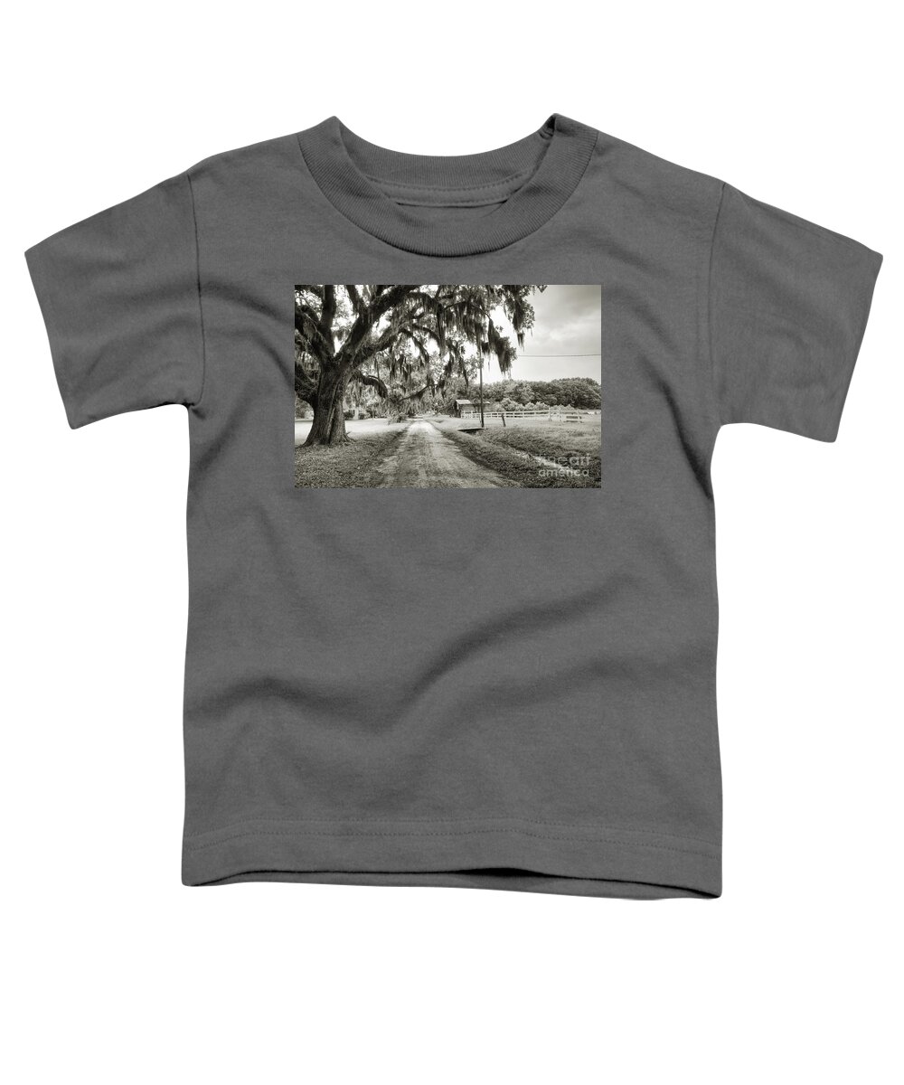 Live Oak Toddler T-Shirt featuring the photograph Dirt Road on Coosaw Plantation by Scott Hansen