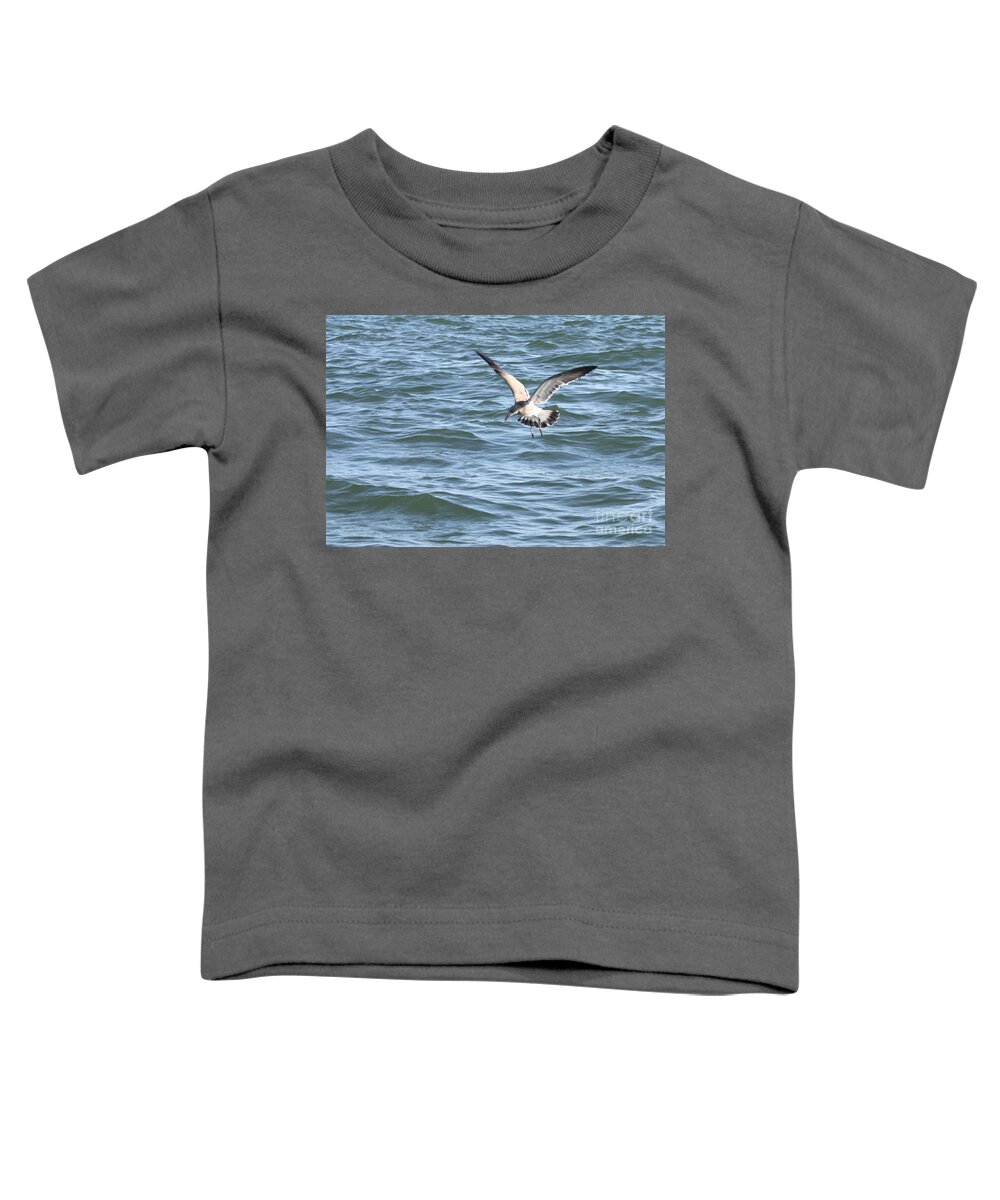 Diving For A Bite To Eat Toddler T-Shirt featuring the photograph Diving for a Bite to Eat by John Telfer