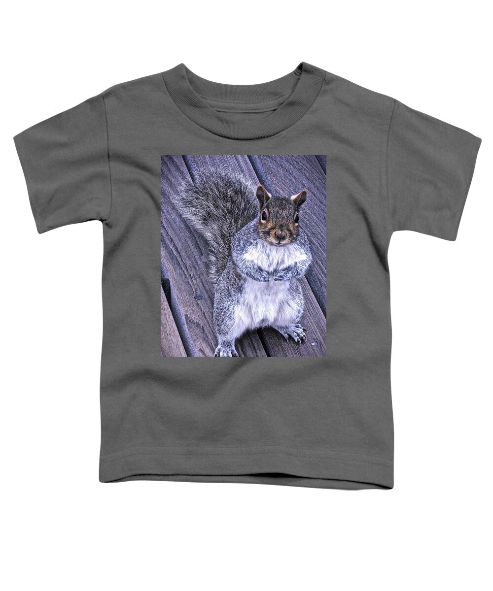 Gray Squirrel Toddler T-Shirt featuring the photograph Do You Think I'm Cute by Joan Reese