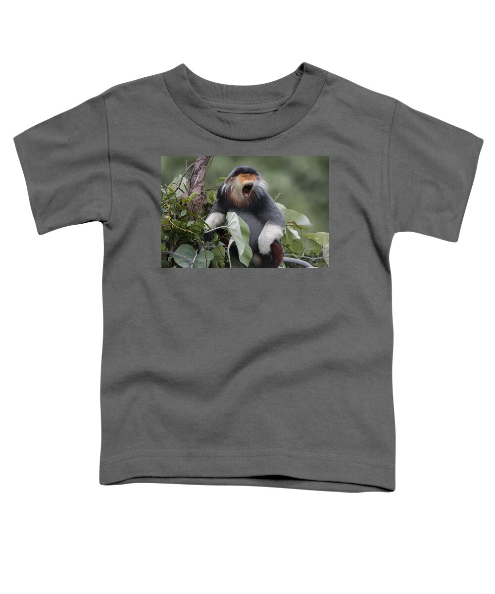 Cyril Ruoso Toddler T-Shirt featuring the photograph Douc Langur Male Yawning Vietnam by Cyril Ruoso