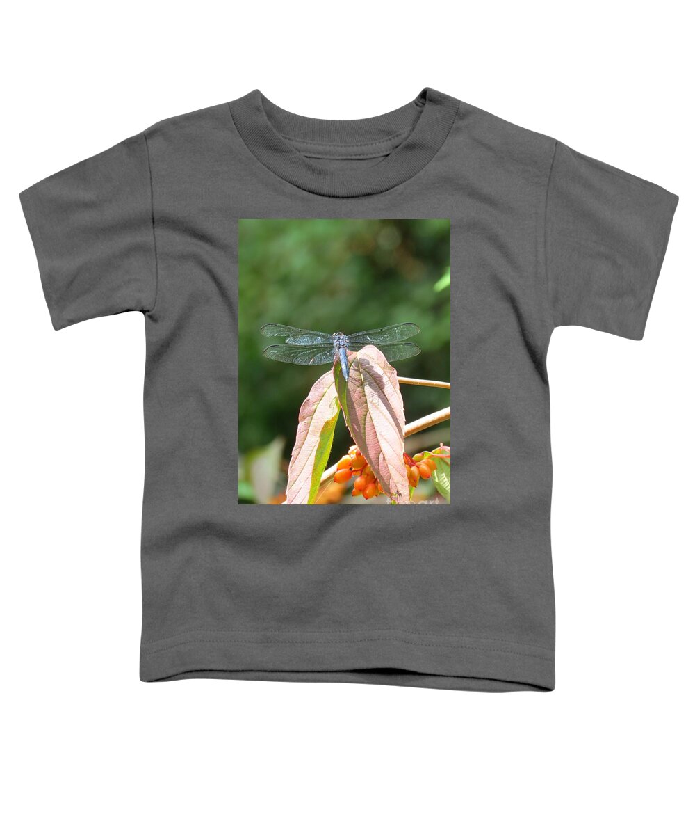 Dragonfly Toddler T-Shirt featuring the photograph Dragonfly in Early Autumn by Anita Adams